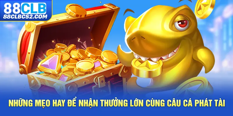 Những mẹo hay để nhận thưởng lớn cùng câu cá phát tài